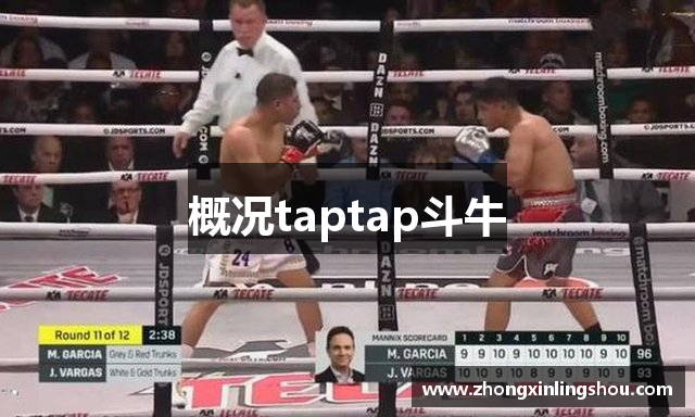 概况taptap斗牛