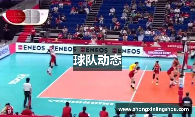 球队动态